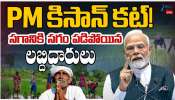 PM Kisan: పీఎం కిసాన్ కట్.. సగానికి సగం పడిపోయిన లబ్దిదారులు.. PM Kisan: పీఎం కిసాన్ కట్.. సగానికి సగం పడిపోయిన లబ్దిదారులు..