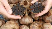 Black Garlic: తెల్ల వెల్లుల్లి కంటే 'నల్ల వెల్లుల్లి' చాలా పవర్‌ఫుల్.. ఎందుకో తెలుసా..?