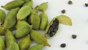 Cardamom: యాలకులు ఇలా తీసుకుంటే ఈ ఐదు అనారోగ్య సమస్యలకు గుడ్బై చెప్పొచ్చు..! Cardamom: యాలకులు ఇలా తీసుకుంటే ఈ ఐదు అనారోగ్య సమస్యలకు గుడ్బై చెప్పొచ్చు..!