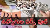 DA Hike: ప్రభుత్వ ఉద్యోగులకు భారీ గిఫ్ట్‌.. బడ్జెట్‌కు ముందే 63 శాతం డీఏ పెంపు