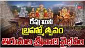 Tirumala Ratha Saptami: రథ సప్తమి సందర్భంగా తిరుమలలో మినీ బ్రహ్మోత్సవం..