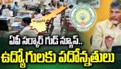 Govt Employees: ఉద్యోగులకు ఏపీ ప్రభుత్వం తీపి కబురు.. ఉత్తర్వులు జారీ!