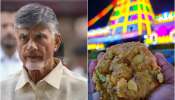 Tirupati Laddu Case: శ్రీవారితో పెట్టుకుంటే శిక్ష తప్పదు..తిరుమల అపచారంపై సీఎం చంద్రబాబు ఘాటు వ్యాఖ్యలు!