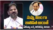 Revanth Reddy: తెలంగాణ జాతిపిత కేసీఆర్ ఎలా అవుతాడు?: రేవంత్ రెడ్డి
