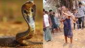Odisha Snake Video: ఓర్నాయనో.. నాగు పామును నోట్లో పెట్టుకుని మరీ.. ఓళ్లు గగుర్పొడిచే వీడియో..