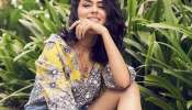 Mrunal Thakur Hit Movies: 7 ఏళ్లుగా మృణాల్ ఠాకూర్‌ను వెంటాడుతోంది..ఇప్పటికైనా ఆ కోరిక తీరుతుందా?