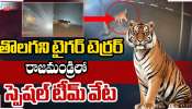 Tiger Terror: తొలగని టైగర్ టెర్రర్.. రాజమండ్రిలో స్పెషల్ టీమ్.