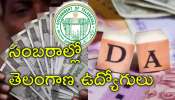 DA Hike: తెలంగాణ ప్రభుత్వ ఉద్యోగులకు తీపి కబురు.. 19 శాతం డీఏ పెంపు