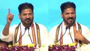 CM Revanth Reddy: గాడిదకు గడ్డి వేసి.. ఆవుకు పాలు పిండితే ఎలా.!. ఎన్నికల ప్రచారంలో రేవంత్ రెడ్డి సంచలన వ్యాఖ్యలు..