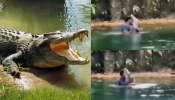 Video Viral: ఓరెయ్ అదేమన్న నీ గర్ల్ ఫ్రెండా..?.. మొసలిని నీళ్లలో గట్టిగా హత్తుకుని డ్యాన్స్..?.. వీడియో వైరల్.. Video Viral: ఓరెయ్ అదేమన్న నీ గర్ల్ ఫ్రెండా..?.. మొసలిని నీళ్లలో గట్టిగా హత్తుకుని డ్యాన్స్..?.. వీడియో వైరల్..