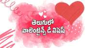 Happy Valentines Day 2026: తెలుగులో వాలెంటైన్స్ డే విషెష్‌.. ఇలా మీ లవర్స్‌కి పంపండి!