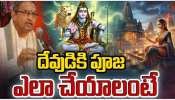 Maha Shivaratri: మహా శివరాత్రి తర్వాతి రోజు ఏం చేయాలి? ఉపవాసం తర్వాతి రోజు ఏం తినాలి?