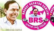 KCR Birthday Gift: తెలంగాణ తొలి సీఎం కేసీఆర్‌ బర్త్‌డేకు 5 మున్సిపాలిటీలు గిఫ్ట్‌!