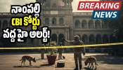 Nampally Court: నాంపల్లి CBI కోర్టు వద్ద హై అలర్ట్.. బాంబు బెదిరింపుతో ఉద్రిక్తత!