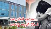 Hyderabad: నార్సింగిలో మరోసారి రెచ్చిపోయిన రౌడీషీటర్లు.. గంజాయి తాగించి బాలికపై గ్యాంగ్‌ రేప్‌..!