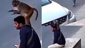 Monkey Video: అద్భుతం.. రెప్పపాటులో వ్యక్తిని  రోడ్డు ప్రమాదం నుంచి కాపాడిన వానరం.. ఓళ్లు గగుర్పొడిచే వీడియో..