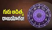Guru Aditya Raja Yoga: మోస్ట్ పవర్‌ఫుల్‌ గురు ఆదిత్య రాజయోగం.. మార్చి 15 నుంచి ఈ రాశుల వారికి ఊహించని డబ్బు..