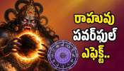 Rahu Effect: రాహువు పవర్‌ఫుల్ ఎఫెక్ట్.. ఈ రాశుల వారికి ఊహించని ధన లాభాలు.. డబ్బుతో పాటు ఆనందం!