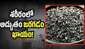Black Rice: బ్లాక్ రైస్ తింటే శరీరంలో అద్భుతం జరగడం ఖాయం.. 