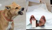 Dog Eat Body: ప్రభుత్వ ఆస్పత్రిలో ఘోరం.. మనిషి శవాన్ని పీక్కుతున్న కుక్క