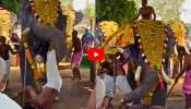 Elephant Video: కేరళలోని ఆలయంలో ఏనుగు బీభత్సం.. ఉన్నట్టుండి యువకుడి పై దాడి.. వీడియో ఇదే.. Elephant Video: కేరళలోని ఆలయంలో ఏనుగు బీభత్సం.. ఉన్నట్టుండి యువకుడి పై దాడి.. వీడియో ఇదే..