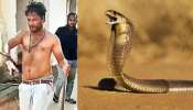Nellore Snake bite: నెల్లూరులో వింత ఘటన.. కాటేసిన పాముతో ఆస్పత్రికి వచ్చిన బాధితుడు.. ఏమైందంటే..?