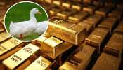 Golden Duck: ఇది నిజంగా బంగారు బాతు.. పొట్ట కోస్తే పది గ్రాముల బంగారం లభ్యం