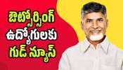 Salary Hike: ఔట్సోర్సింగ్ ఉద్యోగులకు గుడ్ న్యూస్.. రూ.6 వేల జీతం పెంచుతూ ఏపీ ప్రభుత్వం కీలక నిర్ణయం!