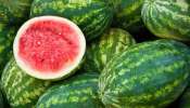 Adulterated Watermelon: మార్కెట్లోకి కల్తీ పుచ్చకాయలు..సహజమైన పుచ్చకాయలను ఇలా గుర్తించాలి!