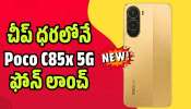 Poco C85x 5G: చీప్‌ ధరలోనే Poco C85x 5G ఫోన్‌ లాంచ్‌.. ఫీచర్స్‌, ధర వివరాలు ఇవే!