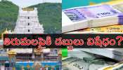 Tirumala: తిరుమలలో భారీగా కరెన్సీ కట్టలు.. ఎన్ని లక్షలు తీసుకెళ్లవచ్చో తెలుసా?