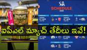 IPL 2026 Schedule: ఐపీఎల్‌ 2026 షెడ్యూల్‌ వచ్చిందోచ్‌.. 20 మ్యాచ్‌లు ఎప్పుడెప్పుడంటే..?