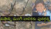 Snake Poison: పాము కాటేసినా విద్యార్థికి పునర్జన్మ.. నాగుపాము విషం మింగిన టీచర్‌