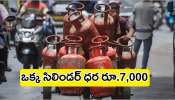 LPG Cylinder Price: సామాన్యుడికి షాకింగ్ న్యూస్..ఒక్కో గ్యాస్ సిలిండర్ ధర రూ.7,000 అమ్మకం..ఎక్కడంటే? LPG Cylinder Price: సామాన్యుడికి షాకింగ్ న్యూస్..ఒక్కో గ్యాస్ సిలిండర్ ధర రూ.7,000 అమ్మకం..ఎక్కడంటే?
