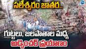 Saleshwaram: రేపటి నుంచే సలేశ్వరం జాతర.. తెలంగాణ అమరనాథ్‌ యాత్ర ప్రత్యేకత ఏంటో తెలుసా? 