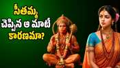 Hanuman: హనుమంతుడి ఒళ్లంతా సింధూరం.. సీతమ్మ చెప్పిన ఆ మాటే కారణమా?