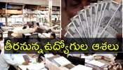 Salary Hike: ప్రభుత్వ ఉద్యోగులకు త్వరలో శుభవార్త.. ఇదే జరిగితే పర్స్‌ ఫుల్‌