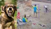 Video viral: వామ్మో.. 15 సెకండ్లలో నలుగురిని కసితీరా కొరికిన వీధి కుక్క.. వీడియో వైరల్..
