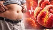 World Health Day 2026: యువత జాగ్రత్త! పొట్ట చుట్టూ కొవ్వు ఉంటే గుండెపోటు గ్యారెంటీ? డాక్టర్లు ఏమంటున్నారు?