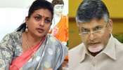 Rk Roja: ఎమ్మెల్యే అయ్యాకే బీపీ, షుగర్‌లు.. వైసీపీ ఫైర్ బ్రాండ్ ఆర్కే రోజా సంచలన వ్యాఖ్యలు..
