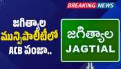 Jagtial: జగిత్యాల మున్సిపాలిటీలో ACB పంజా.. ఐదేళ్లుగా వాహనాలు మాయం.. కోట్లలో పన్నుల గోల్‌మాల్!