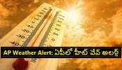 AP Weather Update: AP లో విభిన్న వాతావరణం.. ఎండలకు తోడు పిడుగుల వానలు..