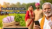 PM Kisan: పీఎం కిసాన్‌ రైతులకు బంపర్ ఆఫర్.. ఈ పని పూర్తిచేస్తే ఖాతాల్లో రూ.2000 కాదు రూ.4000 జమ..!