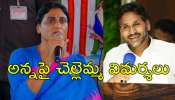 YS Sharmila: అన్న వైఎస్‌ జగన్‌ వైఎస్‌ షర్మిల ఆగ్రహం.. వైఎస్సార్‌ ఆశయాలకు వారసుడు కాదు