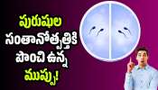 Male Fertility: ఎండలో బైక్ సీటు, ఒడిలో ల్యాప్‌టాప్.. పురుషుల సంతానోత్పత్తికి పొంచి ఉన్న ముప్పు!