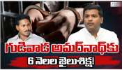 Gudivada Amarnath Jail: మాజీ మంత్రి గుడివాడ అమర్‌నాథ్‌కు జైలుశిక్ష ఖరారు.. 6 నెలలు జైలు, రూ.5 వేలు జరిమానా..ఎందుకంటే?