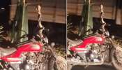 Video Viral: అరె వావ్.. బైక్ ఎక్కి బుసలు కొడుతూ ఫోటోలకు ఫోజులిచ్చిన నాగు పాము.. వీడియో వైరల్..