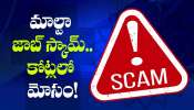 Hyderabad: మాల్టా ఉద్యోగాల పేరిట రూ.5 కోట్ల భారీ స్కామ్.. నిరుద్యోగులే లక్ష్యంగా నకిలీ ముఠా!
