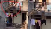 Monkey saves child Video: అరెవావ్.. బాల్కనీలో వేలాడుతున్న బాలుడ్ని కాపాడిన వానరం.. సంచలనంగా మారిన వీడియో..