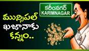 Karimnagar: మున్సిపల్ ఖజానాకు కన్నం.. ట్రేడ్ లైసెన్సుల పేరిట కాసుల వేట!